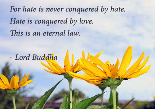 buddha-hate-love-slider-500-340